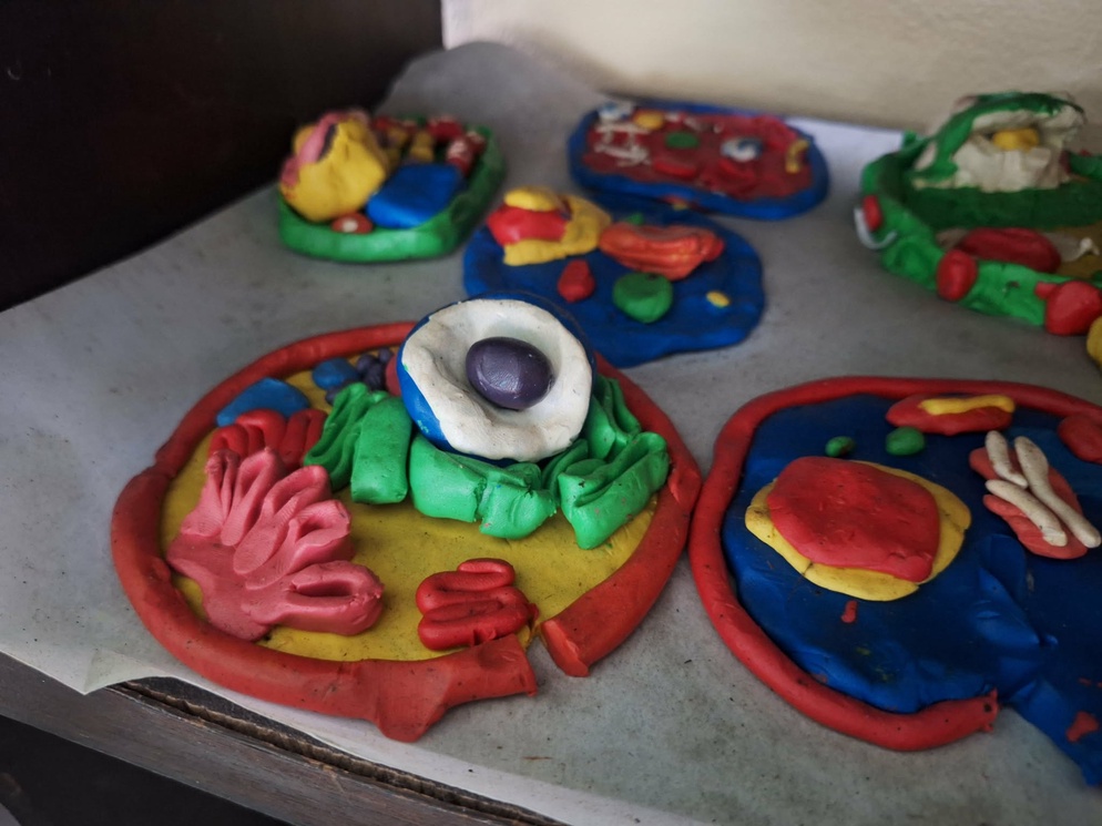 ภาพประกอบไอเดีย เปลี่ยนเรื่อง “ส่วนประกอบของเซลล์” ให้สนุกด้วยเกม