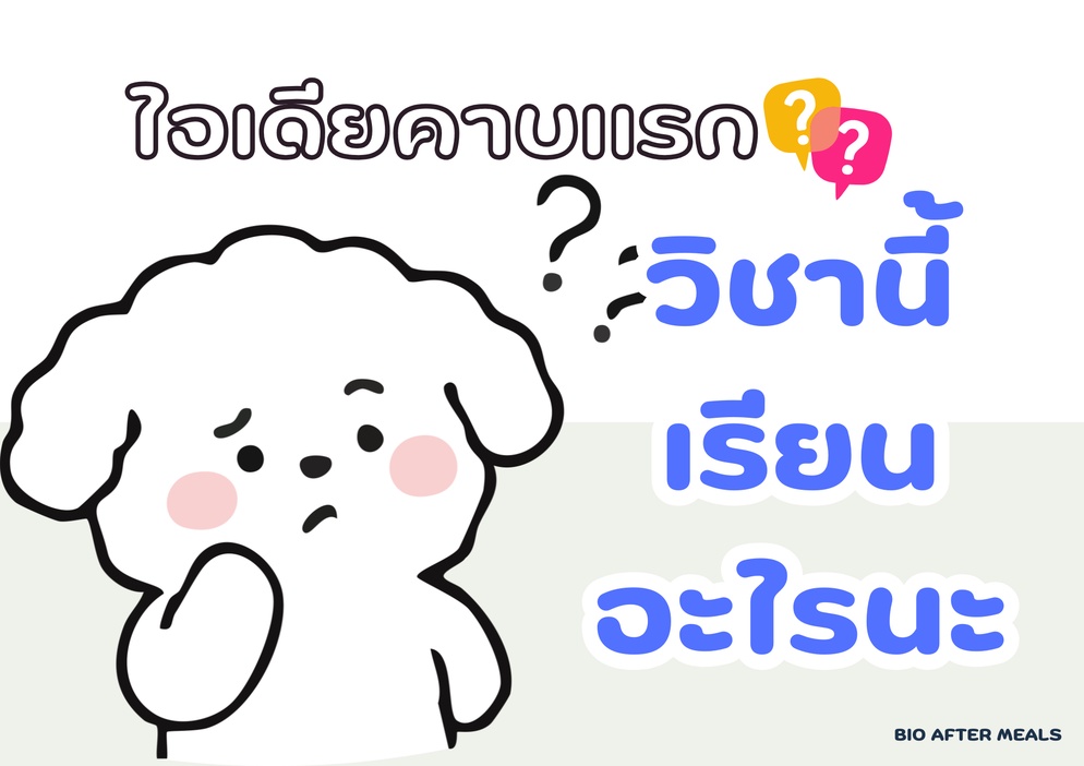ภาพประกอบไอเดีย ไอเดียคาบแรก วิชานี้เรียนอะไรนะ💫